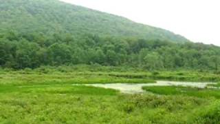 preview picture of video 'A train journey through the Catskill Mountains, New York.'