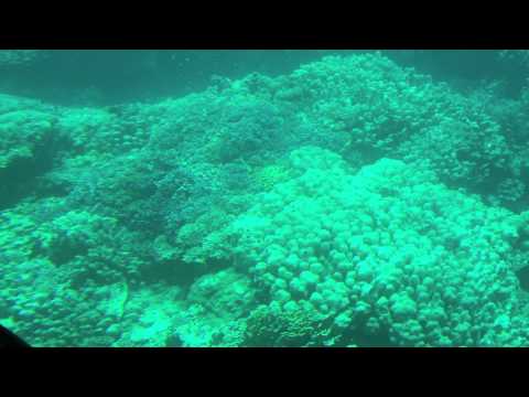 Seascope, Marsa Alam, Egypt - May 2013 (Video 4 of 6)