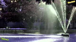 Il Mago - Le Orme - Album... &quot;Florian&quot;... Anno... 1979...