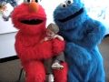 SAM MEETS ELMO COOKIE MONSTER