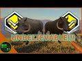 I Found an Incredible Spot for Diamond WARTHOGS! Call Of The Wild