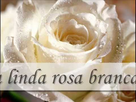 Banda Calypso Rosa Branca (Letra)