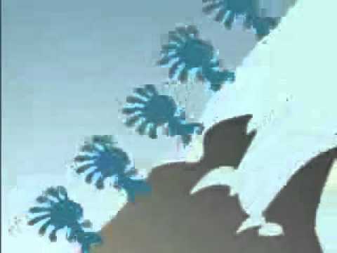 Estados Físicos da Água - Método Inteligente! - YouTube.flv