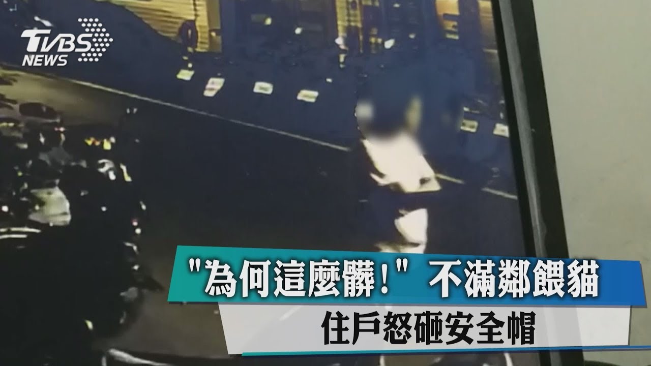 「為何這麼髒!」不滿鄰餵貓 住戶怒砸安全帽