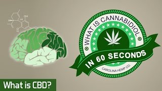 What is CBD? In 60 Seconds (Cannabidiol)