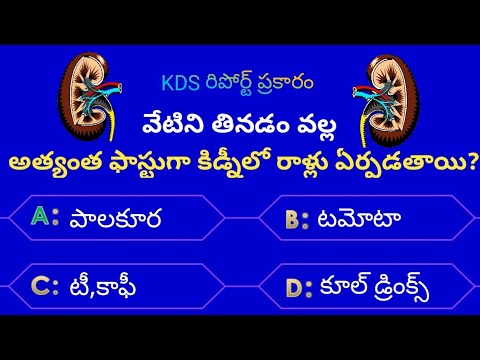 Interesting Questions In Telugu|Episode-83|gk in telugu|quiz in telugu|emk|unknown facts in telugu