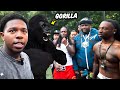 I Got 100 Men To Fight 1 Gorilla On Stream