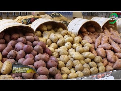 , title : 'Cultura cartofului în România'