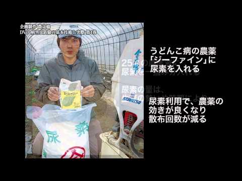 重曹で雑草を殺す