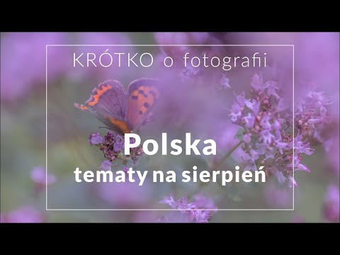SIERPIEŃ - Co fotografować latem w Polsce? - KRÓTKO o fotografii