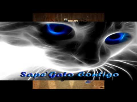 amanza guapos calle calenton official 2015