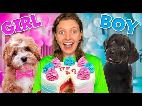 GENDER REVEAL of my PUPPY (Is it a BOY OR GIRL?!)