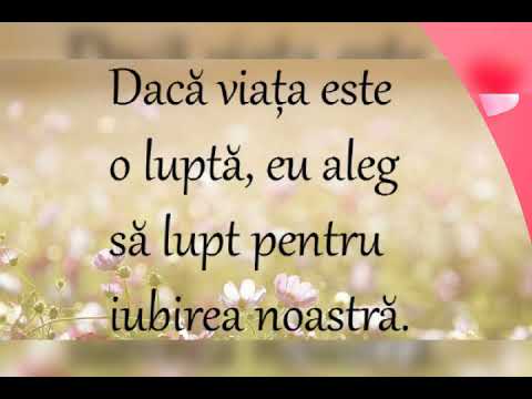 Te iubesc dragostea mea. Mesaje frumoase de iubire pentru persoana iubita by STIRILE TV