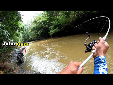FASTEST RECORD!!! FISHING FOR HAMPALA (Hampili) FISH IN THE POWERFUL CURRENT OF THE BATU RIVER