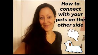 How to communicate with your pets that have passed away | Pets in the afterlife
