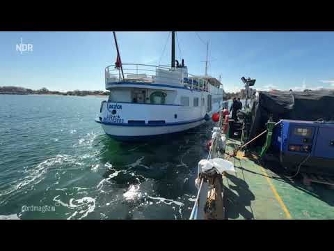 NDR Nordmagazin 08.04.2025 / MS Baltica gesichert