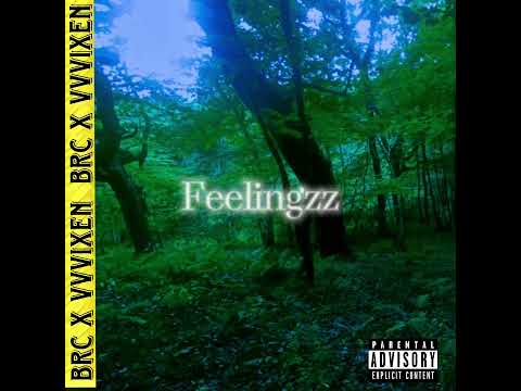 Brc - FEELINGZZ FEAT. vvvixen