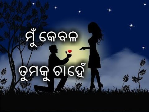 Love Shayari Romantic Shayari Odia Love Shayari Love Quotes