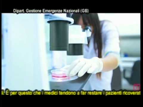 C61 prostata Ca essa Kerosene di cancro alla prostata