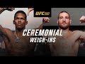 UFC 293: Ceremonial Weigh-In