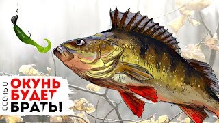 Ноябрь для ловля окуня на живца осенью