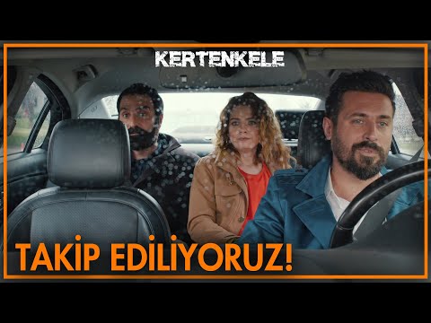 Takip ediliyoruz! - Kertenkele