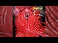 MORGOTH Ressurection Absurd 1989 Fullalbum Death Metal Deathmetal90 Morgoth