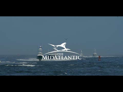 TEAM HARVEY FISHING | THE MIDATLANTIC