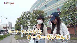 2026/5/21放送・知ったかぶりカイツブリにゅーす