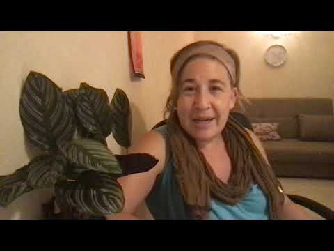 Warm Up   Ecclesiastes