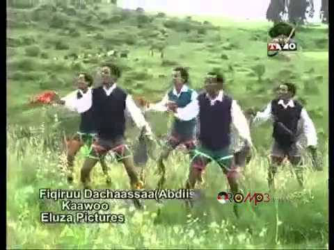 Fikiru Dechasa - Kaawoo [Oromo Music]