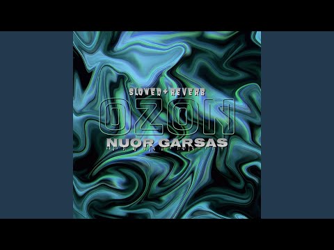 OZON (Slowed & Reverb)