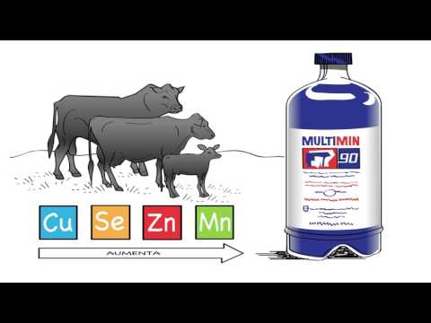 Multimin 90 Mejora la Inmunidad en los Bovinos
