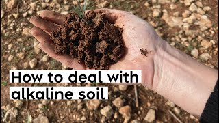 #5 How to deal with alkaline soil