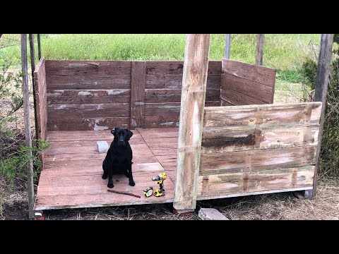 Don and Diane Shipley LIVE - October 3rd 2000 EST Thumbnail