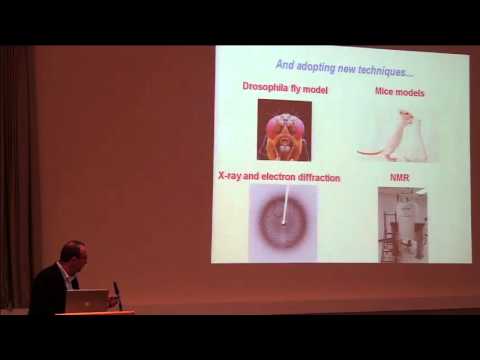 IMBB-RegPot InnovCrete seminar - Prof. Ehud Gazit, Wednesday, April 20, 2016