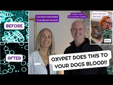 Watch the Science in Action