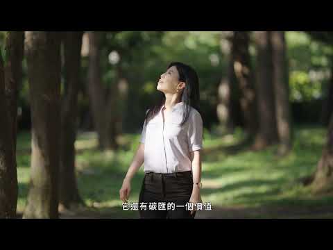 🏆113年綠色奧斯卡特輯｜森林碳匯，為淨零助攻