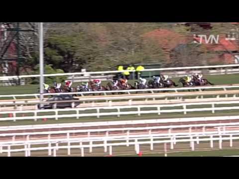 2008 Underwood Stakes- Weekend Hussler