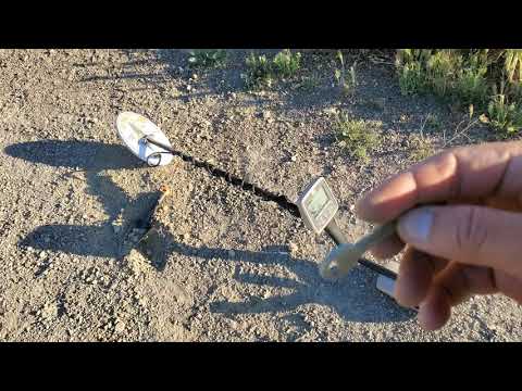 White's GOLDMASTER 24k