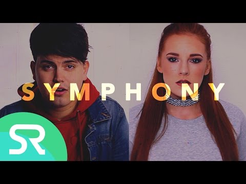 Clean Bandit / Zara Larsson - Symphony | Cover by Shaun Reynolds & Red