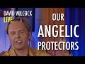 David Wilcock LIVE: Our Angelic Protectors