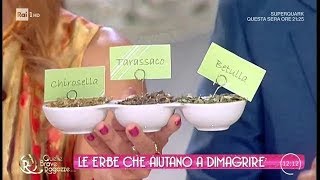 Le erbe che aiutano a dimagrire - Quelle brave ragazze 11/07/2018