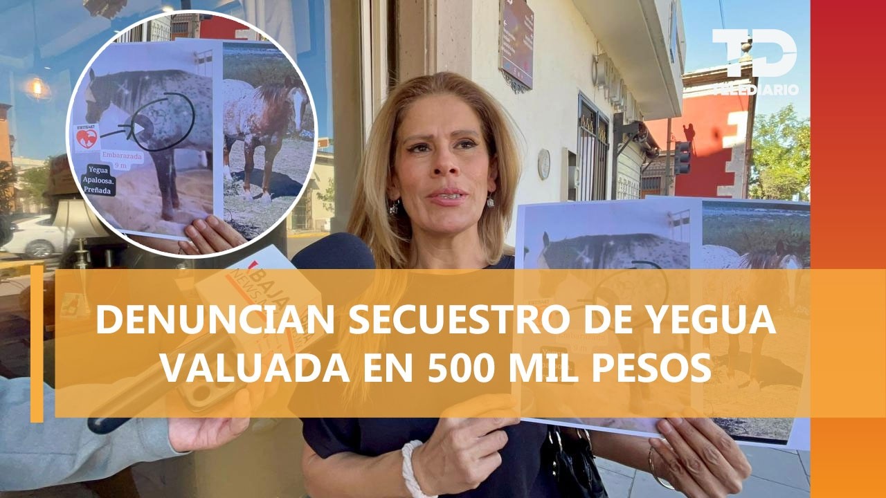 En Durango, denuncian extorsión por yegua de equinoterapia valuada en 500 mil pesos