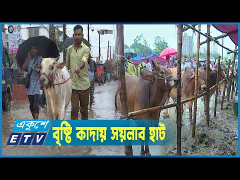 লোকসান দিয়েও ক্রেতা পাচ্ছেন না রাজধানীতে পশু বিক্রেতারা