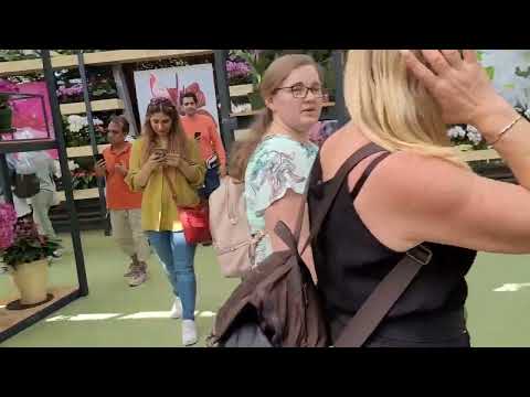 Season One - Our European Vacation - Episode Two