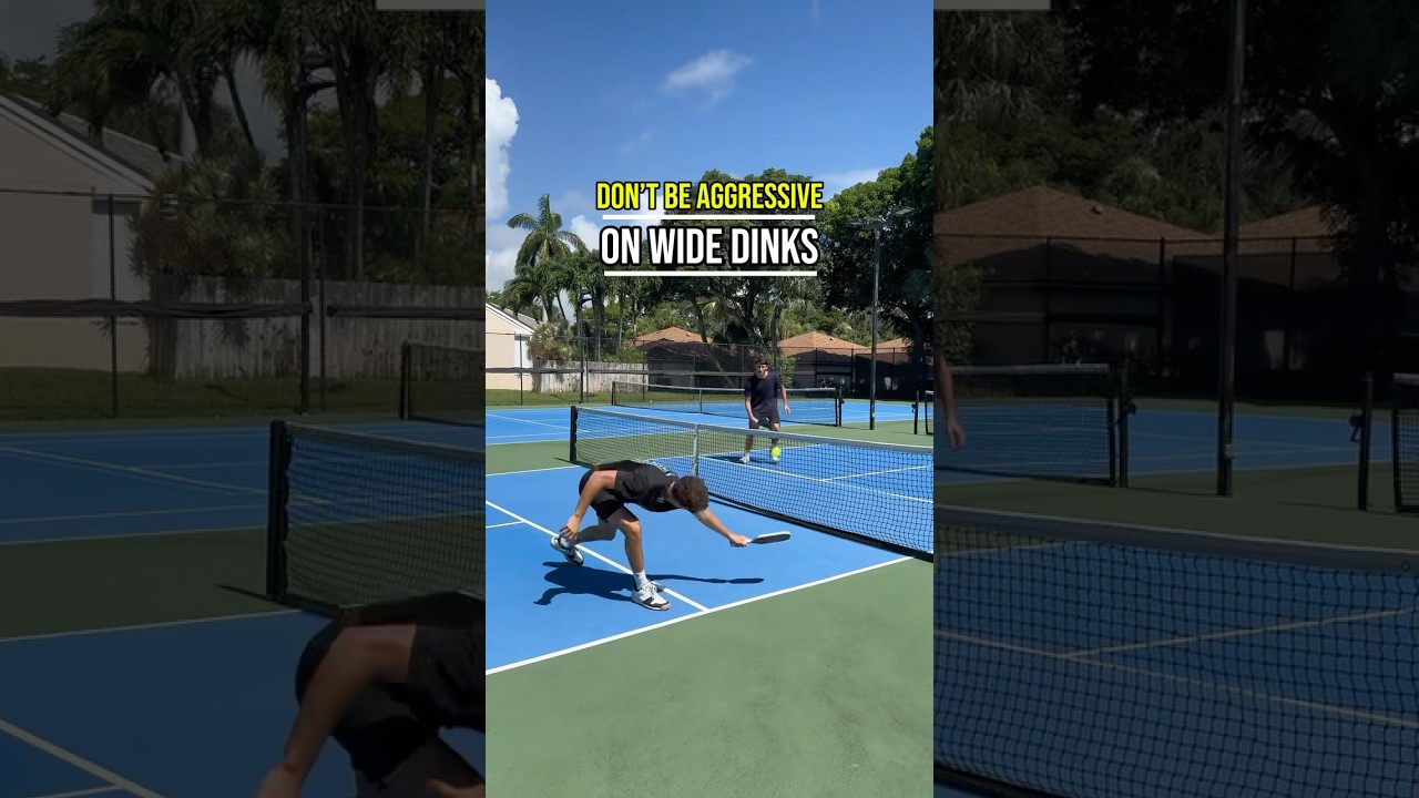 The 2 Most Common Mistakes When Dealing with a Dink Out Wide