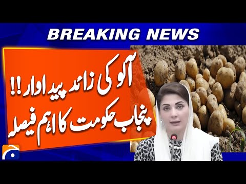 Punjab Moves to Export Excess Potatoes, Talks with Kazakhstan Progress: Maryam Nawaz | Breaking News