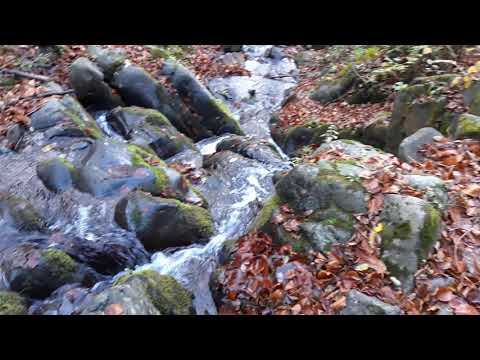 Cascada Săritoarea (Stănija)