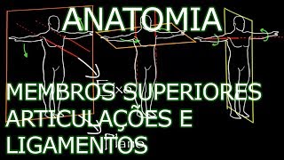Aula: Anatomia - Membros Superiores - Articulações e Ligamentos | Anatomia Humana Osteomuscular